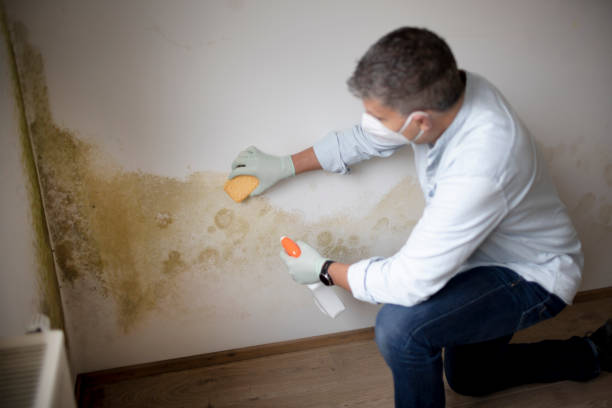 Best Biohazard Mold Removal  in Cardington, OH