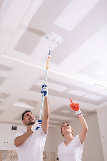 Mold Remediation for Vacation Homes in Cardington, OH