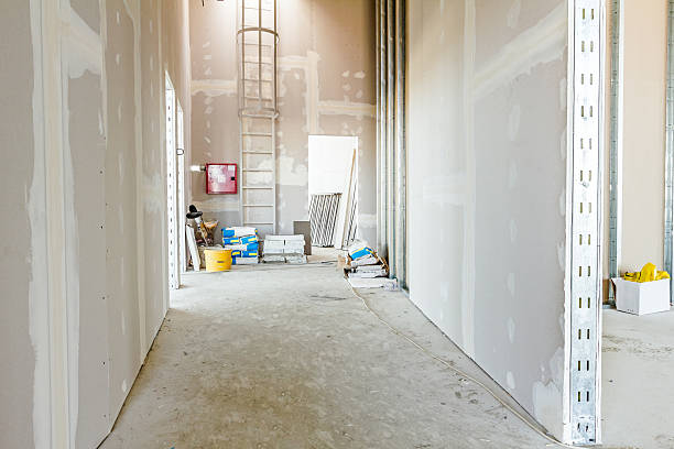 Best Mold Documentation for Insurance Claims  in Cardington, OH
